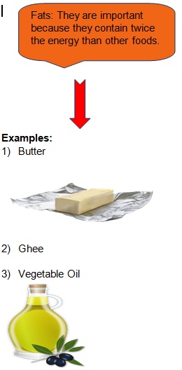 class 10 lifeprocess