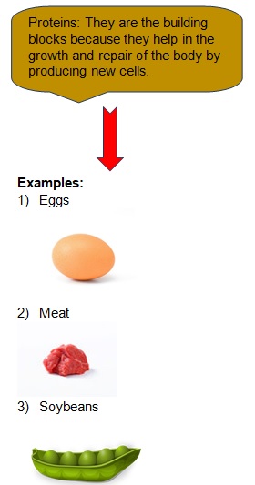class 10 lifeprocess
