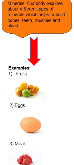 class 10 lifeprocess