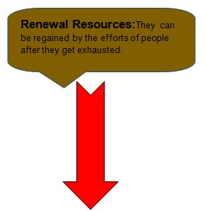 class 10 environment