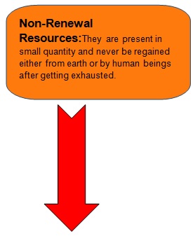 class 10 environment