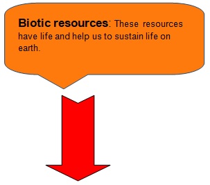 class 10 environment