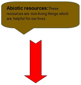 class 10 environment