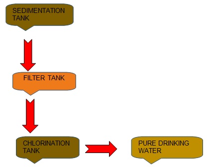 class 10 environment