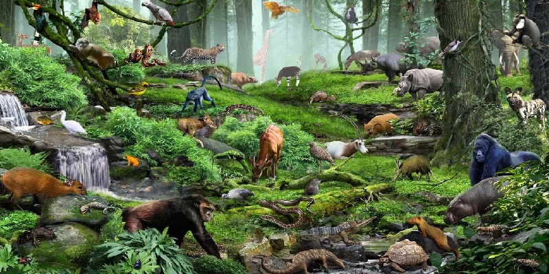 Living Organisms and their Surroundings