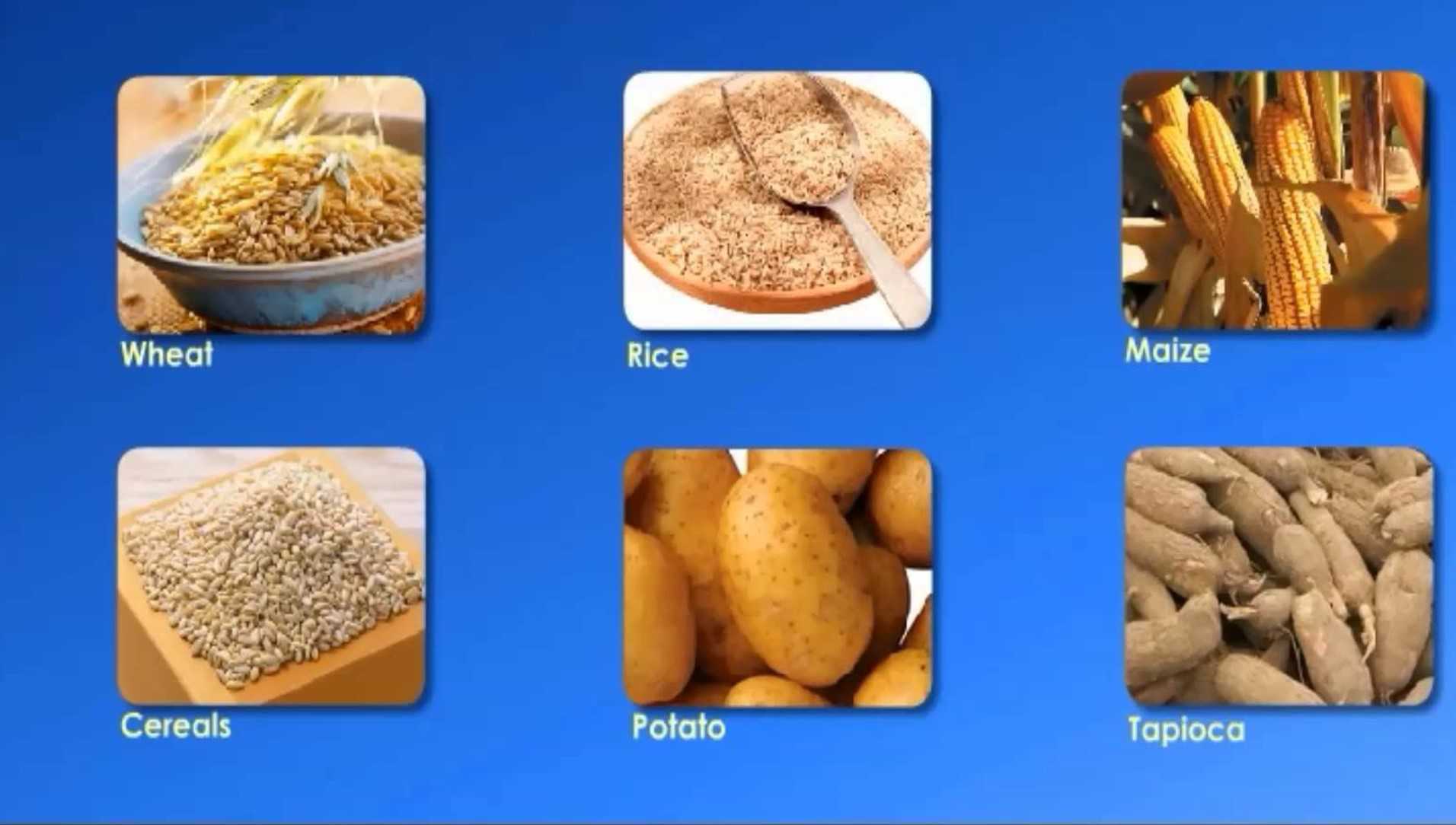 Components of Food