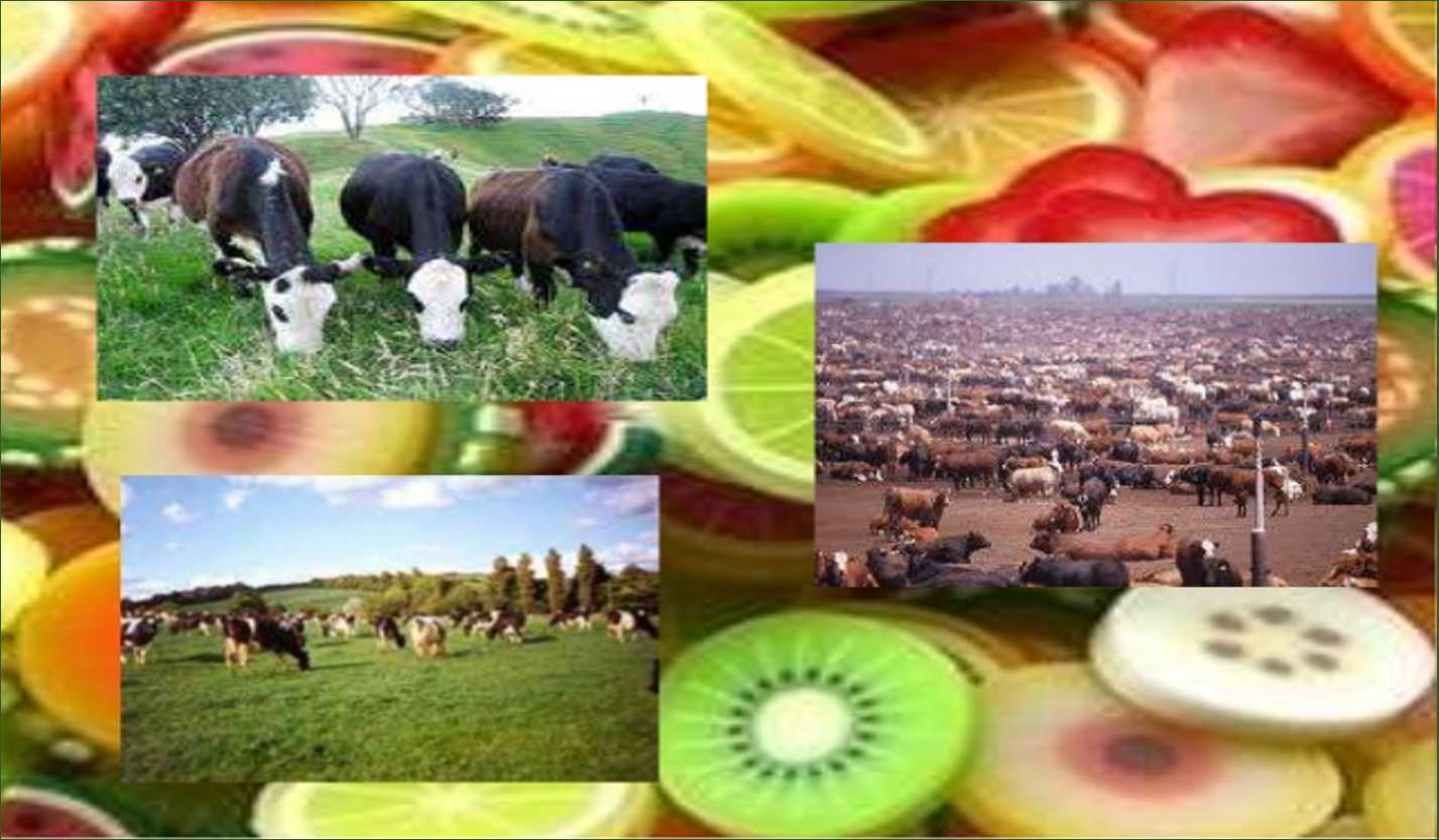 Improvement in Food Resources