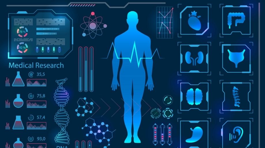 Human Body and Health