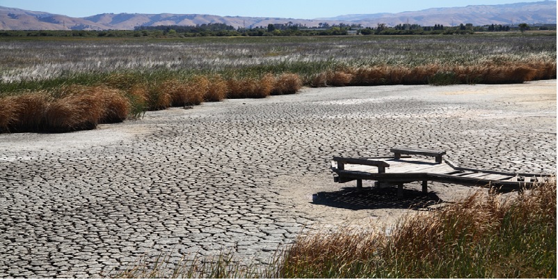 Weather, Climate And Adaptations Of Animals To Climate