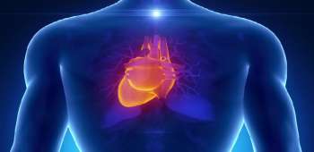 Human Body and Health