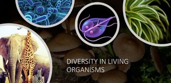 Diversity In Living Organisms