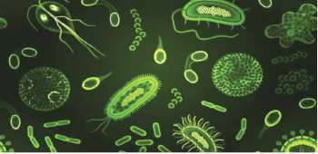 Microorganisms