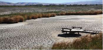 Weather, Climate And Adaptations Of Animals To Climate